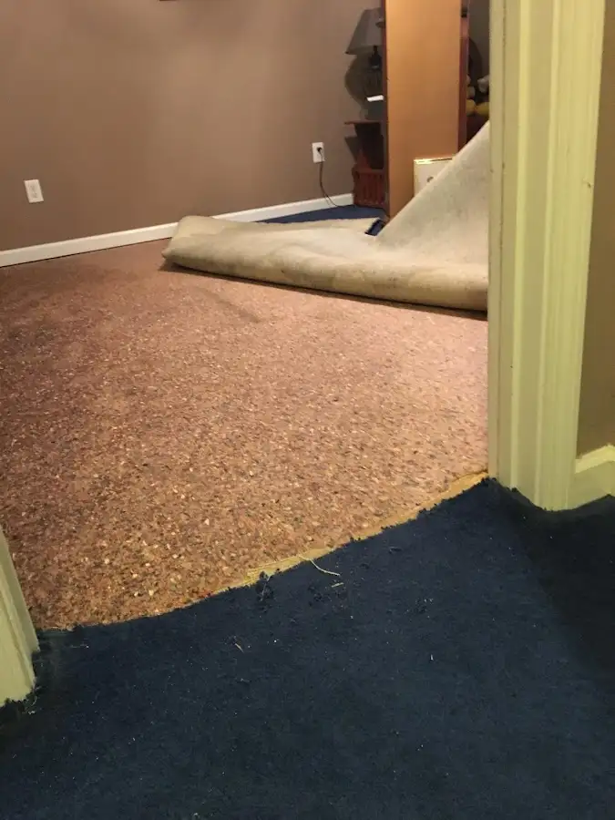 Carpet pad removal revealing water damage during Water Mitigation Services in Lakewood