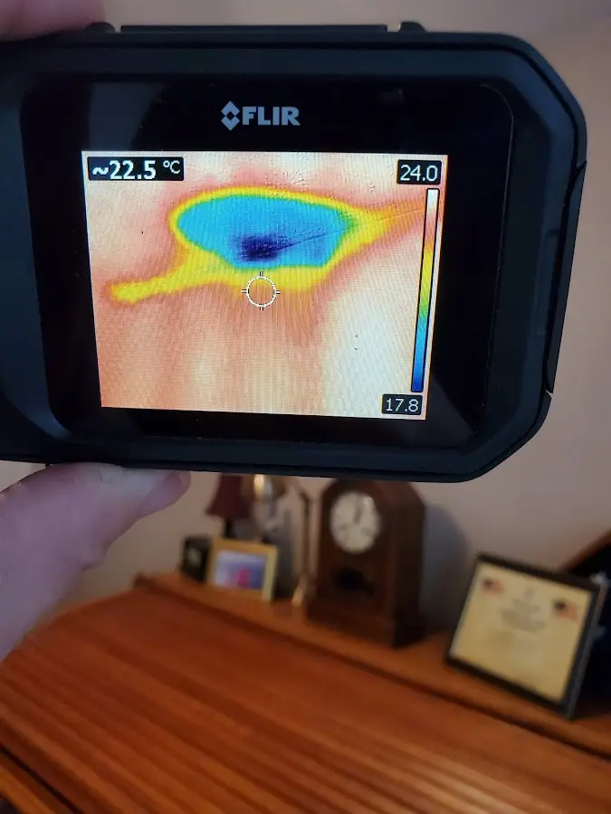 Thermal imaging inspection for water damage in Lakewood